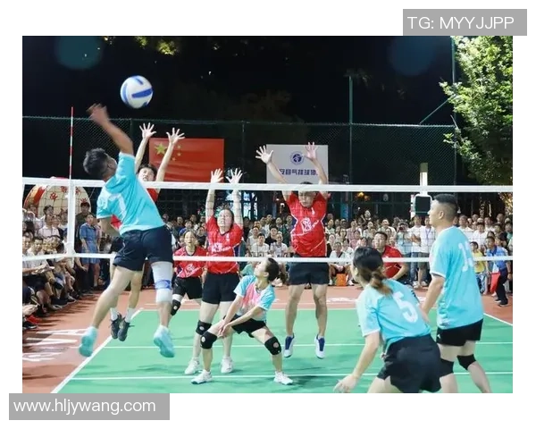 武汉排球队运营模式解析与发展策略探讨